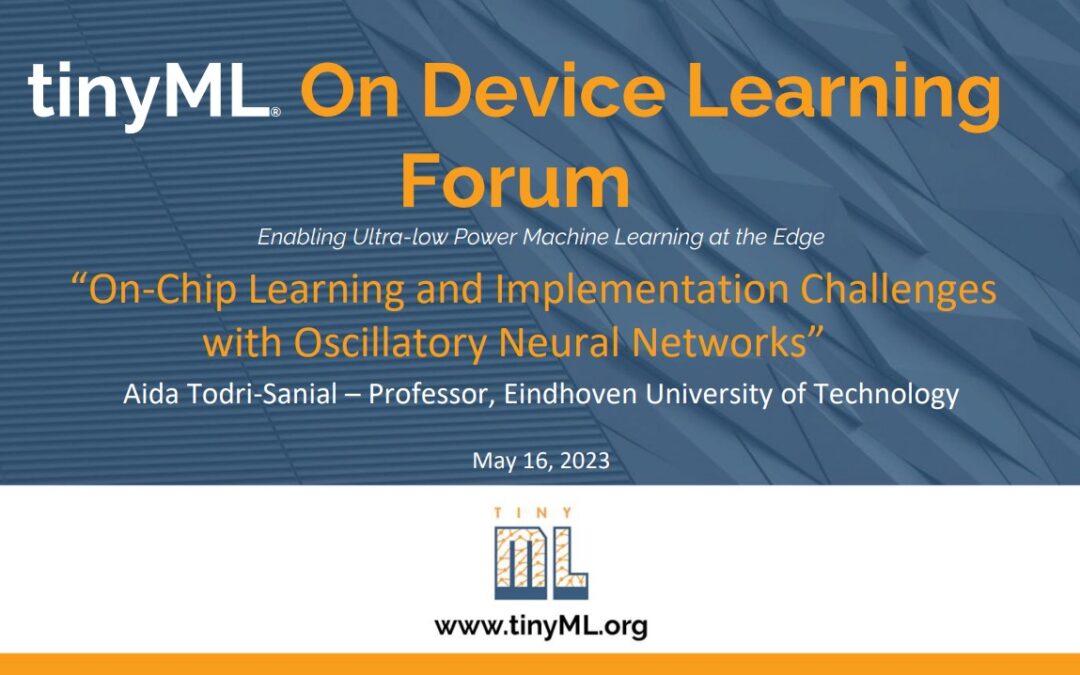 Invited Talk at tinyML Foundation by Prof. Aida Todri-Sanial